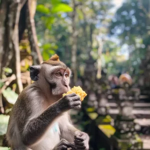 Adventure Tour Image 2